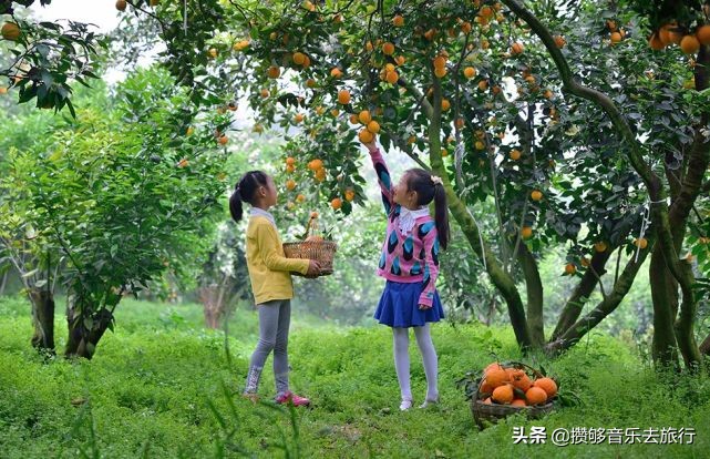 彭山网红打卡地南巷街,成都红枫岭网红打卡地