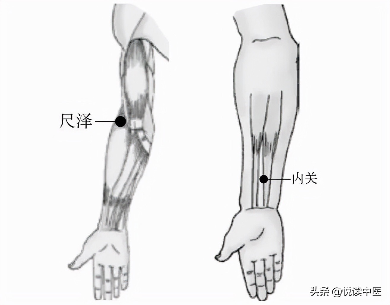 眉冲穴有啥美容养颜的功效,最好的美容养颜的穴位