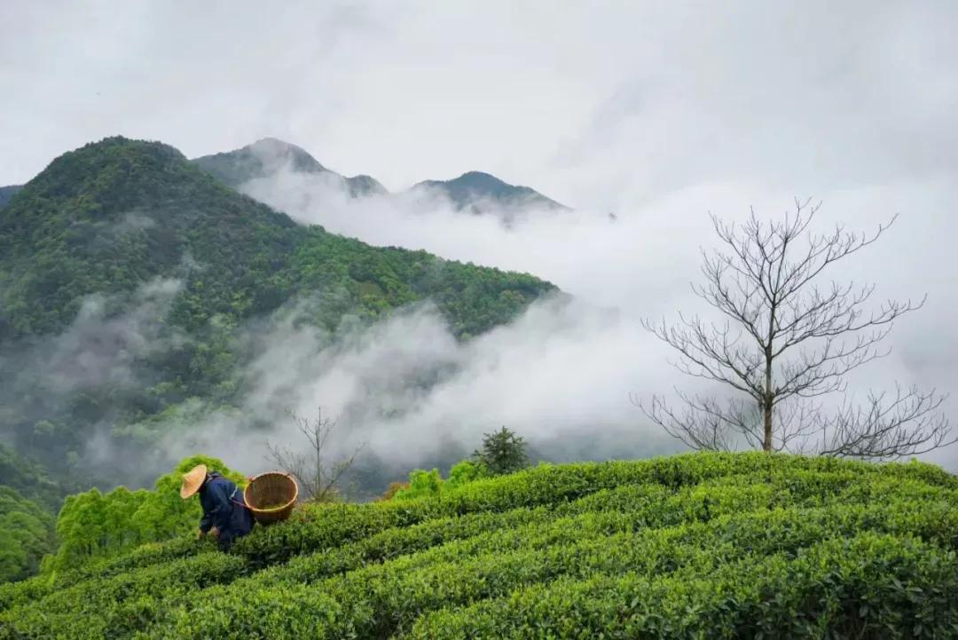 福安好吃的东西,福安最好吃的东西