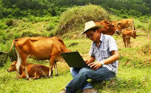 大学生农村创业难在哪,大学生回农村创业靠知识