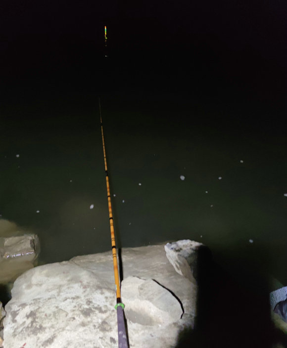 钓鱼高手钓大型鱼类,十年鱼