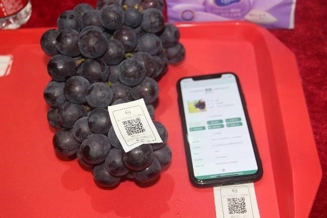 插上农业物联网的翅膀，慈溪葡萄能否扭转产业局面？