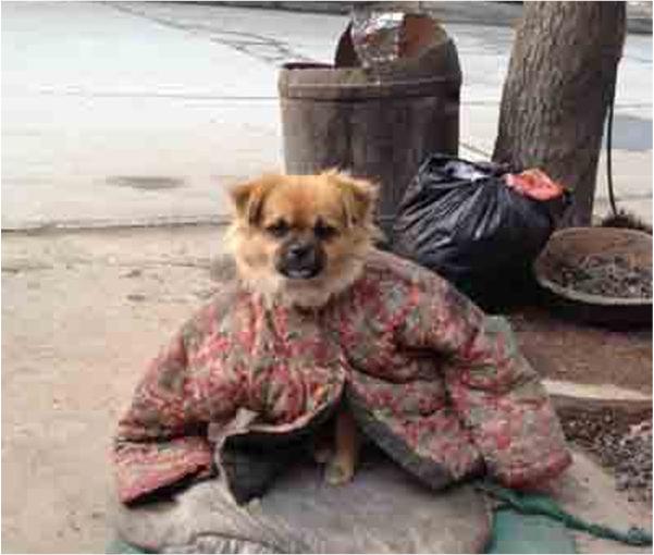 侄女问我：全世界人的头发数量乘起来为什么是0？我百思不得其解