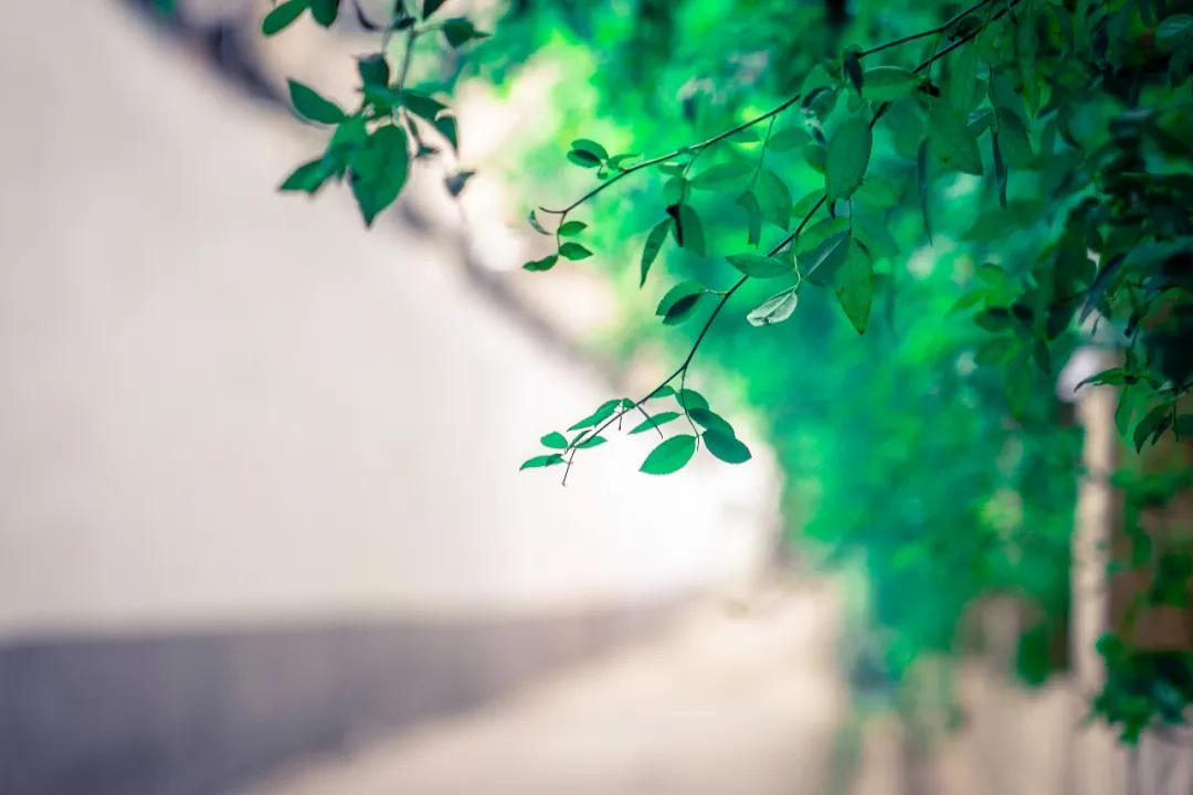 商品拆封后不支持七天无理由退货,所有物品都可以七天无理由退货吗