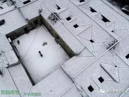 野草诗社七院,野草诗社咏春版