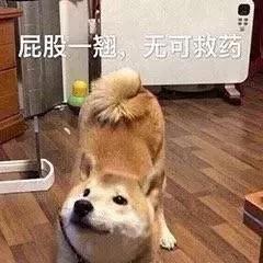 这位太太请你出去表情包,太太微信表情包