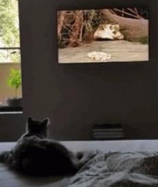 谈到孤独,说到孤独你会想到什么