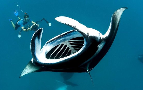 海马7x概念车最新款,海马汽车7x新品