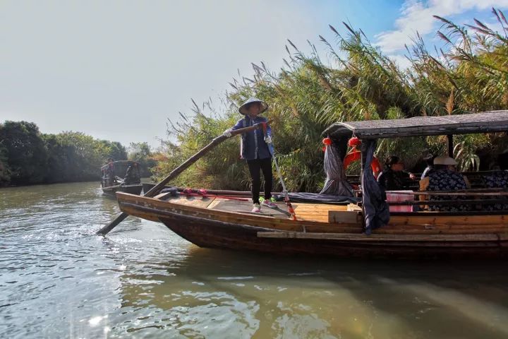 游走在沙家浜湿地公园,沙家浜风景区湿地渔乐园