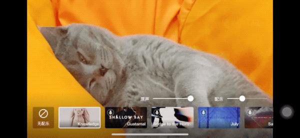 如何简单的做一个vlog手机版,便宜又好用的vlogapp