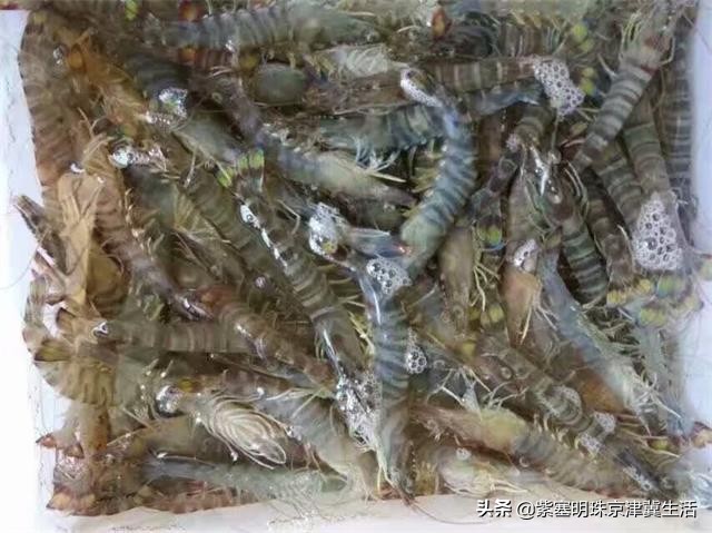 海边可以赶海吃住玩一体的农家院,秦皇岛黄金海岸牧海农家院