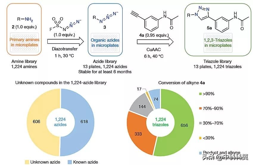 上海有机所Nature：源于“意外”的点击化学新突破