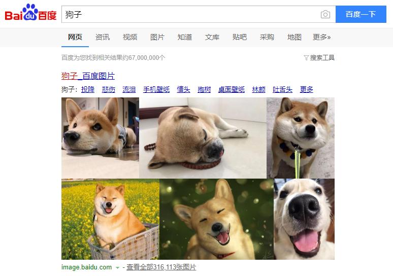 搜索引擎配图,搜索引擎如何查询更准确