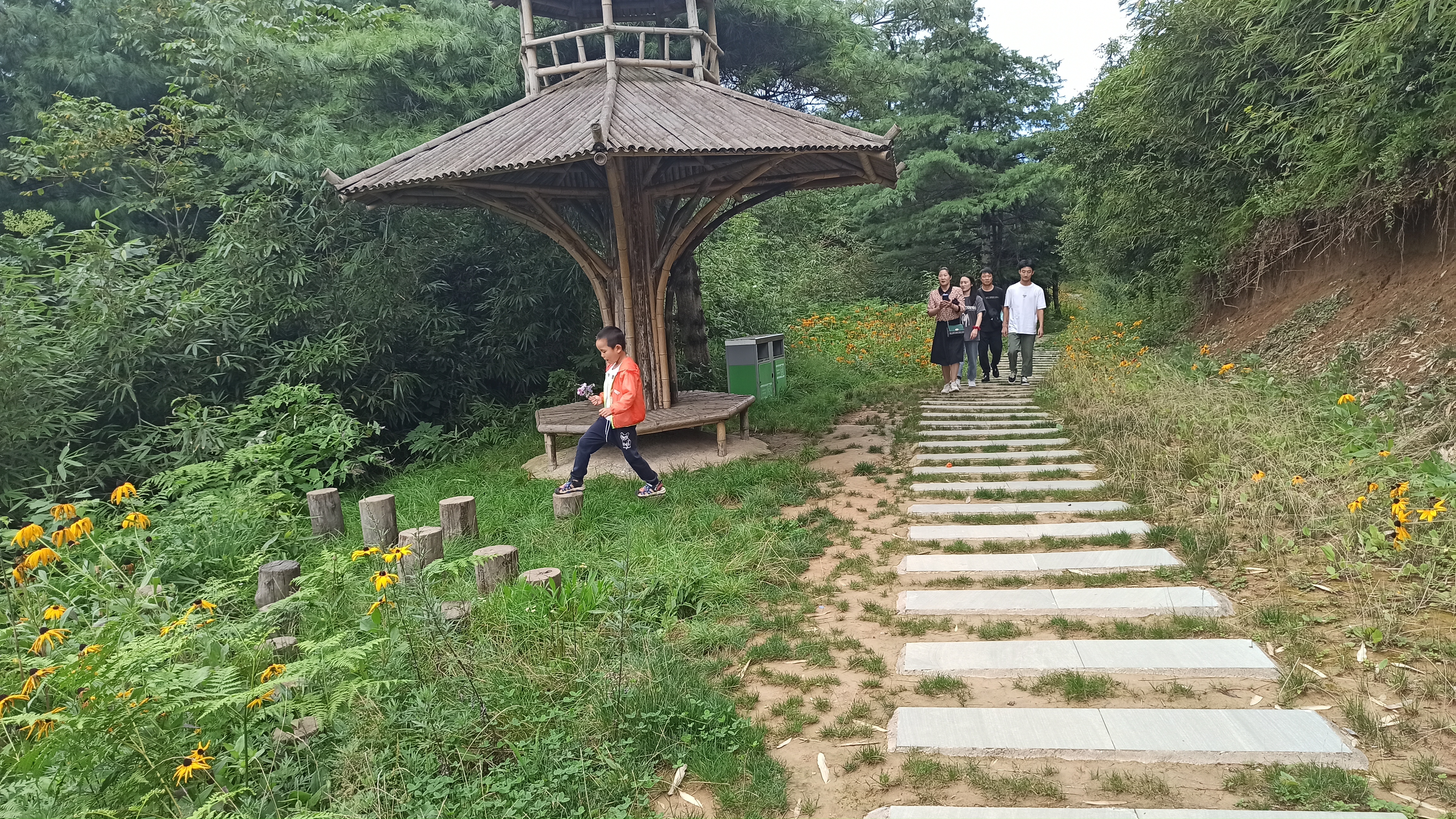 镇巴县草坝景区旅游攻略,陕西镇巴草坝旅游景点