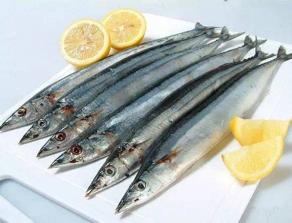 史上最全面的海鲜大咖,史上最全海鲜视频