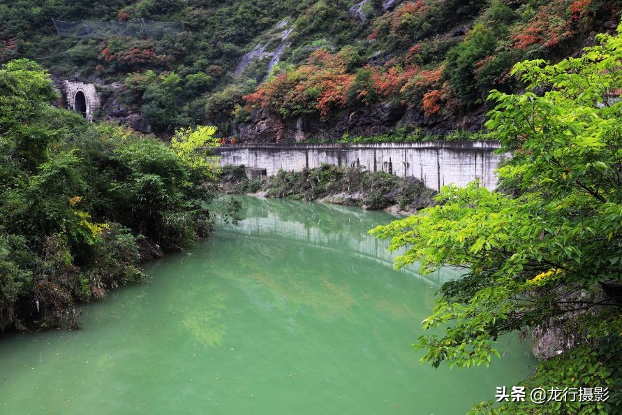 一度封机的老相机灰尘终于被清除了，试拍二张，色彩非常喜欢