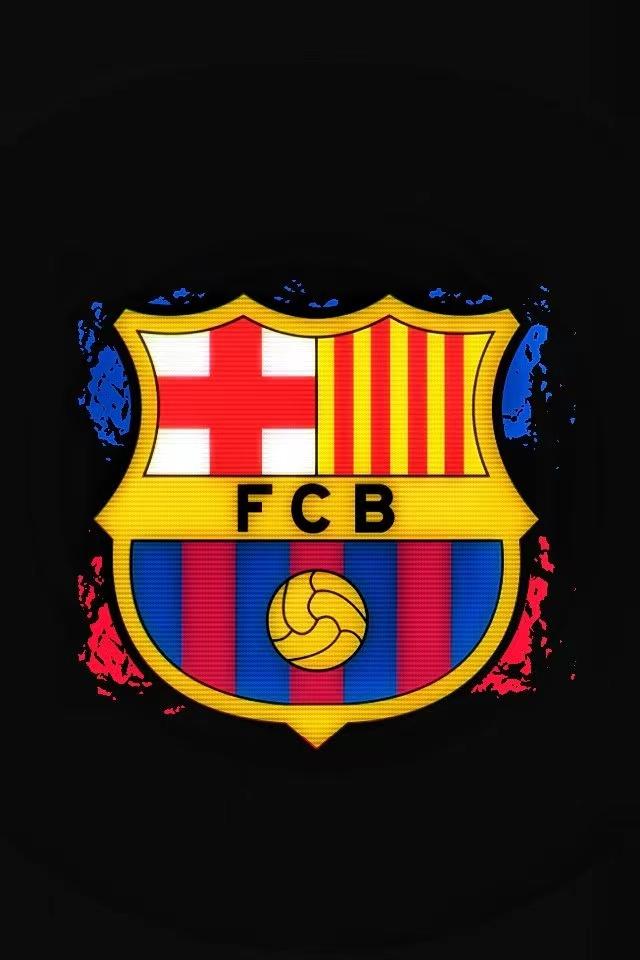 巴塞罗那冠军杯壁纸,巴塞罗那12号足球照片高清壁纸