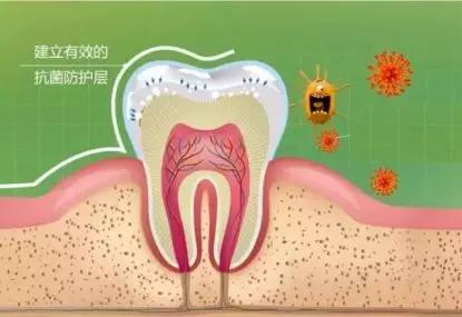 刷牙的正确方法牙不黄不臭,刷牙牙黄变白的最快方法