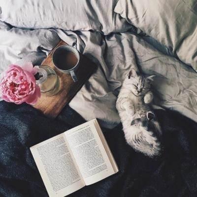 你别太得意小说全集,你别太得意英文