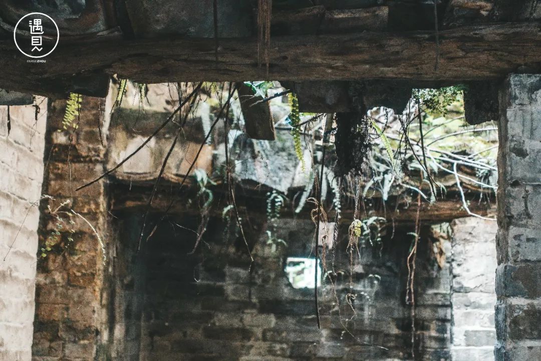 再见了沥川原唱视频,再见王沥川完整视频