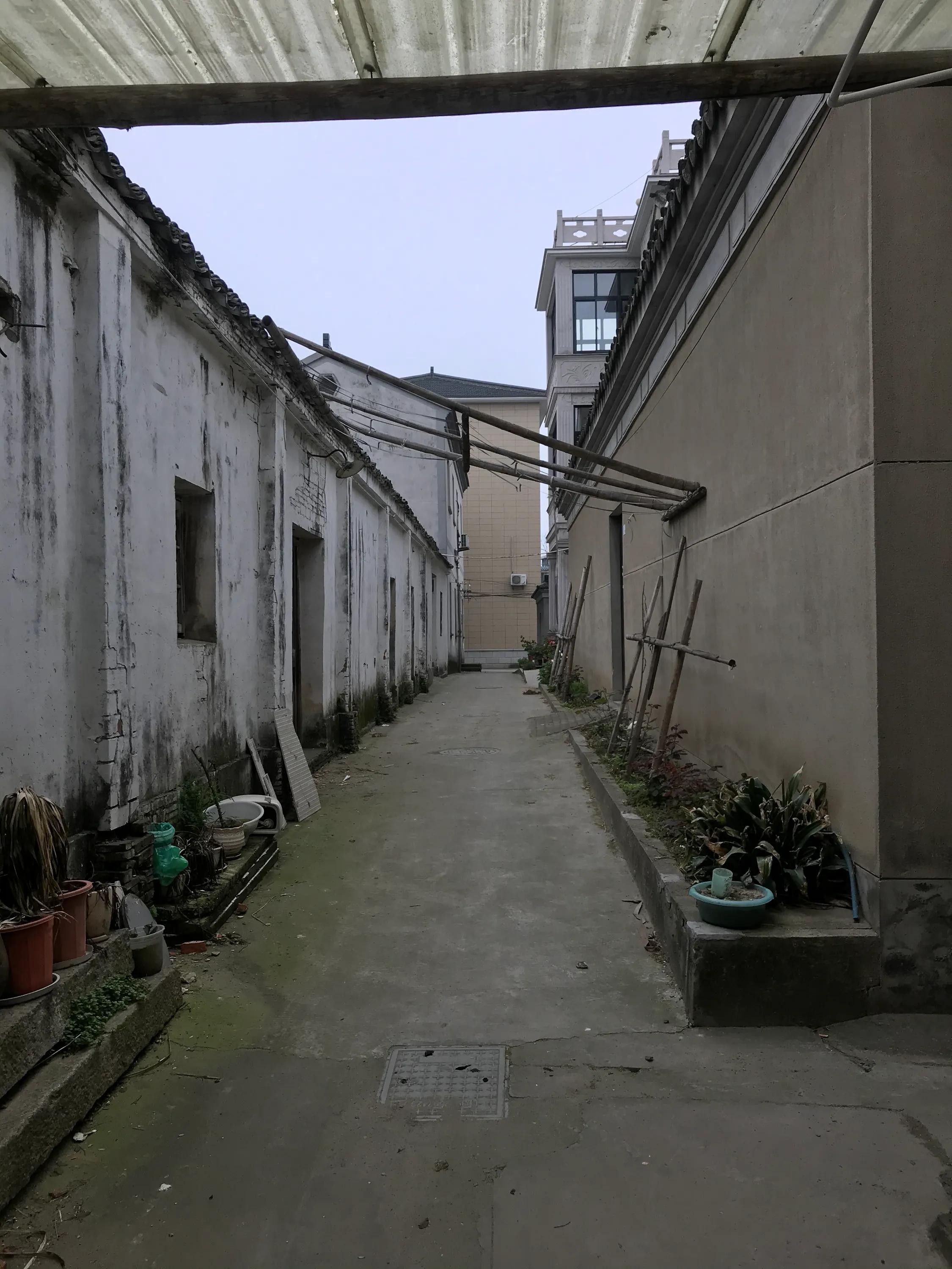 苏州吴江震泽八都,吴江区震泽八都贯桥社区