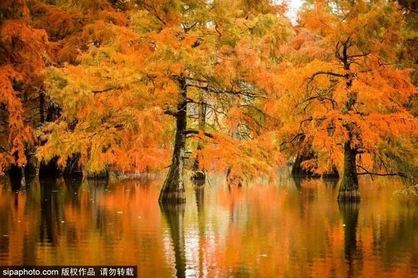 10月北京最佳小众旅行地！绝不能错过的秋色，到底有多美？