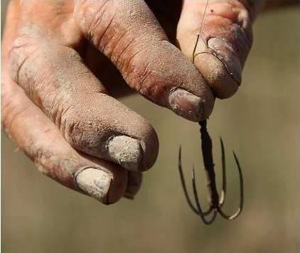 钓鱼被鱼钩钩到手怎么处理,钓鱼钩被水草钩住了怎么办