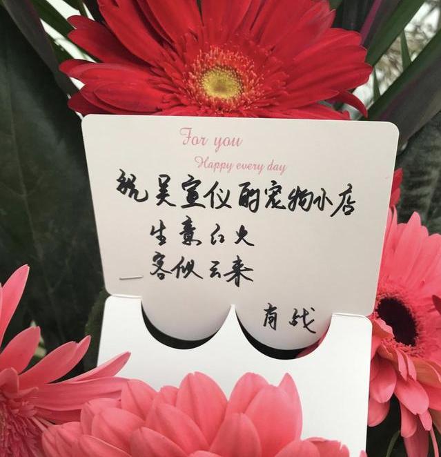 肖战为吴宣仪庆生,吴宣仪肖战撑伞