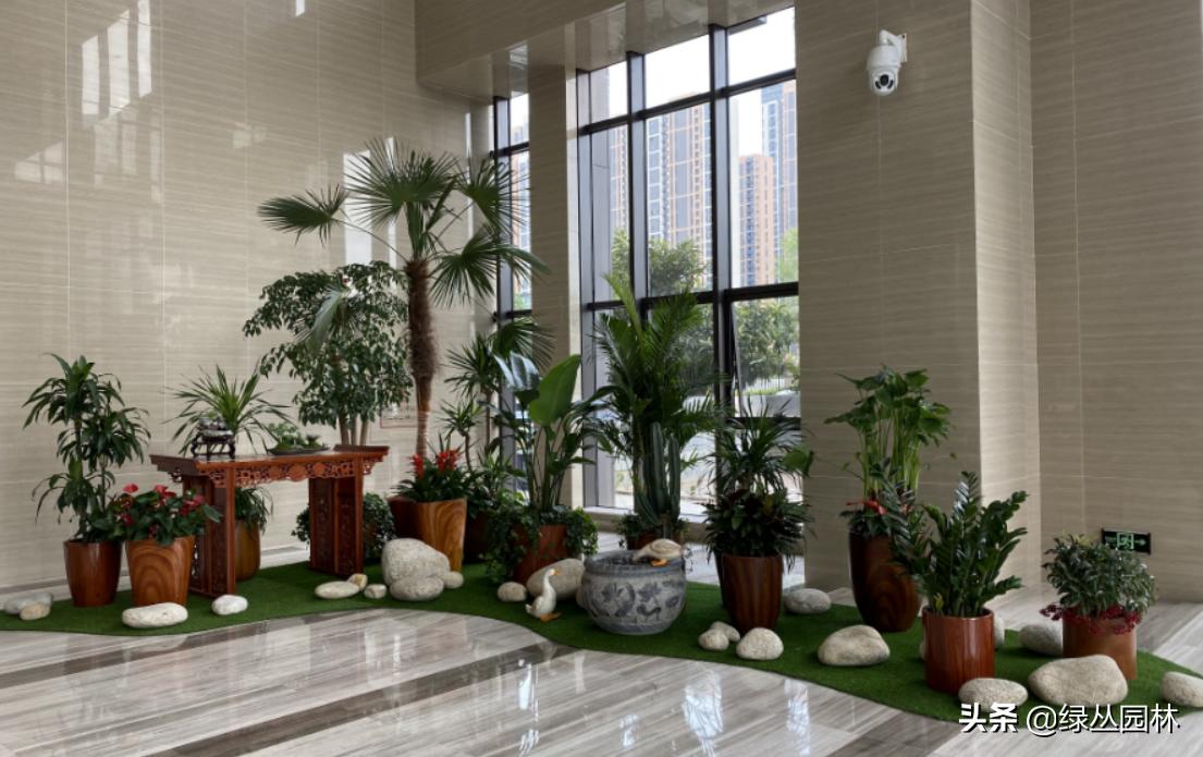 绿植花卉租摆服务价格,武汉植物租赁报价