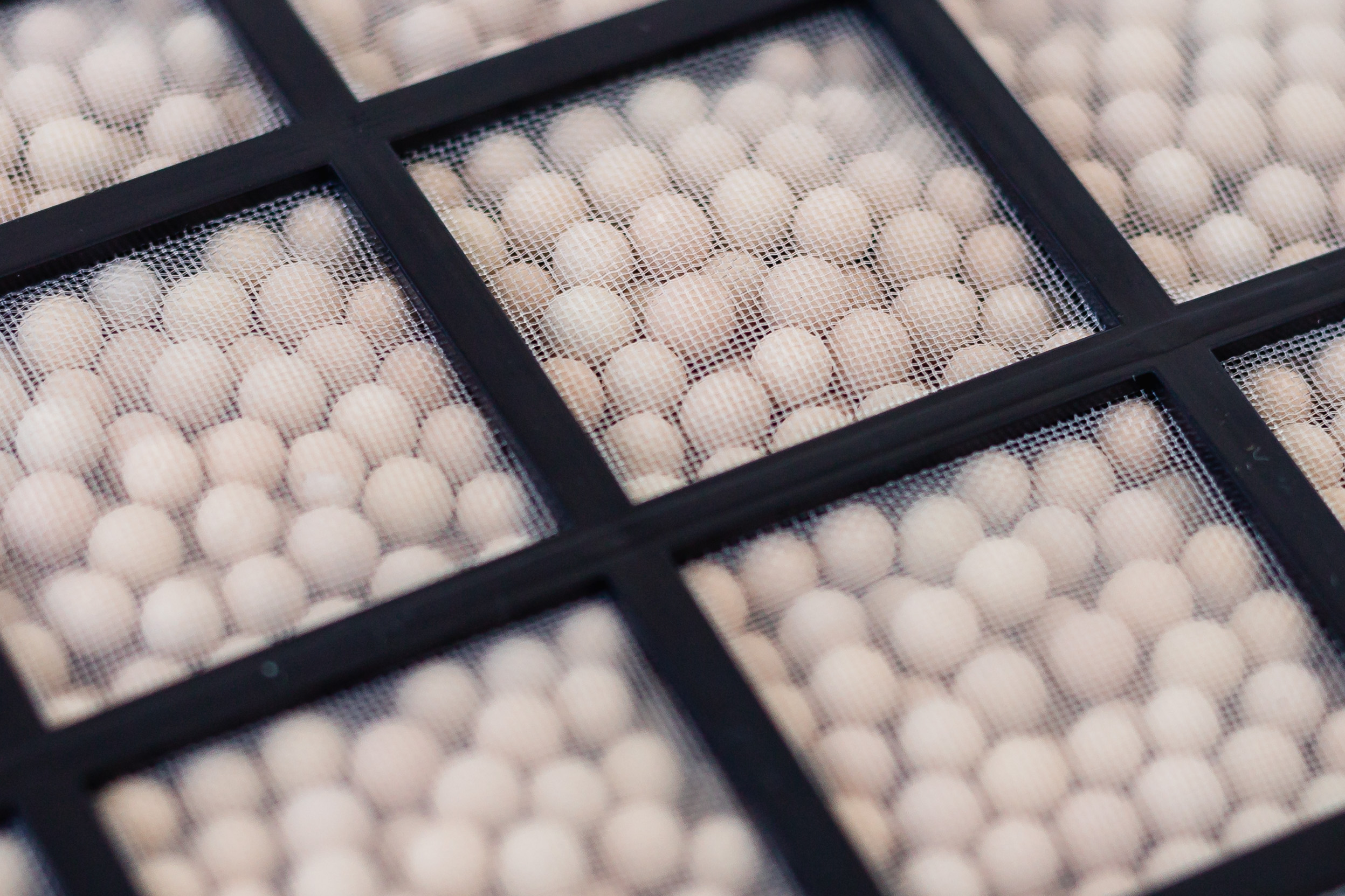 开箱风靡香港的“鱼仔机”，家电界高颜值爱马仕，网友：很实用