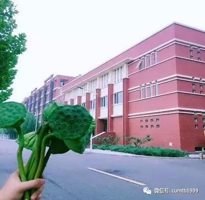 这个夏天,我在沙河都挺好!