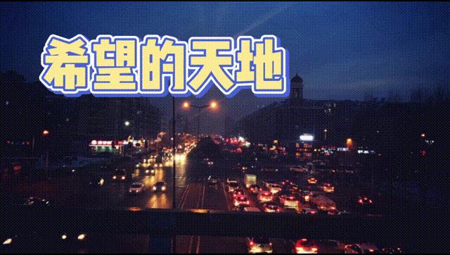 你为什么选择留在哈尔滨,你为什么选择留在家乡