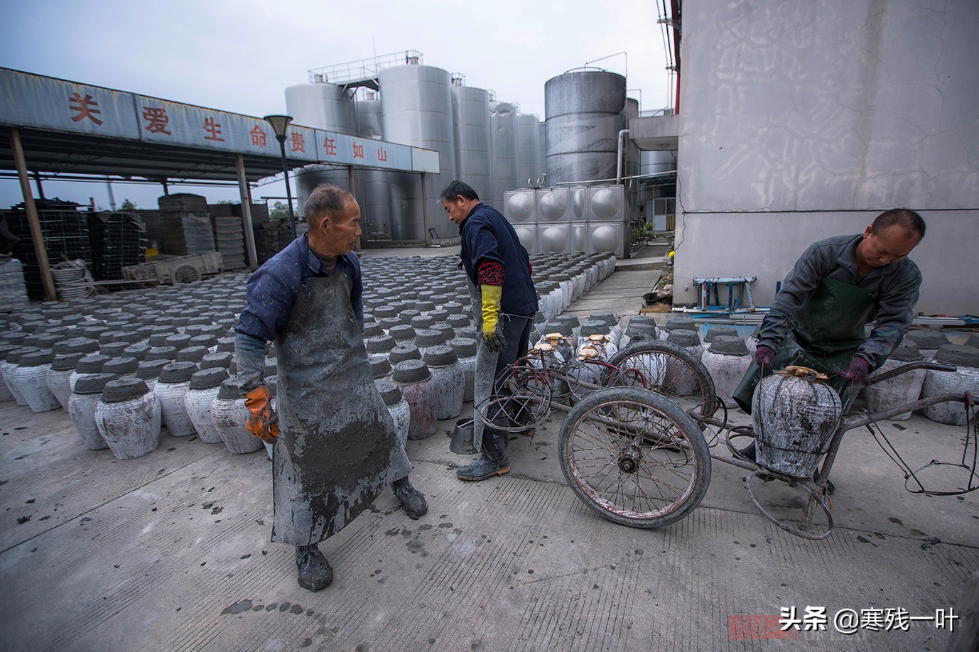 酒厂酿酒技术大全,台州酒厂手酿酒