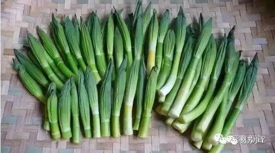 怒江兰坪美食,怒江有什么特色美食