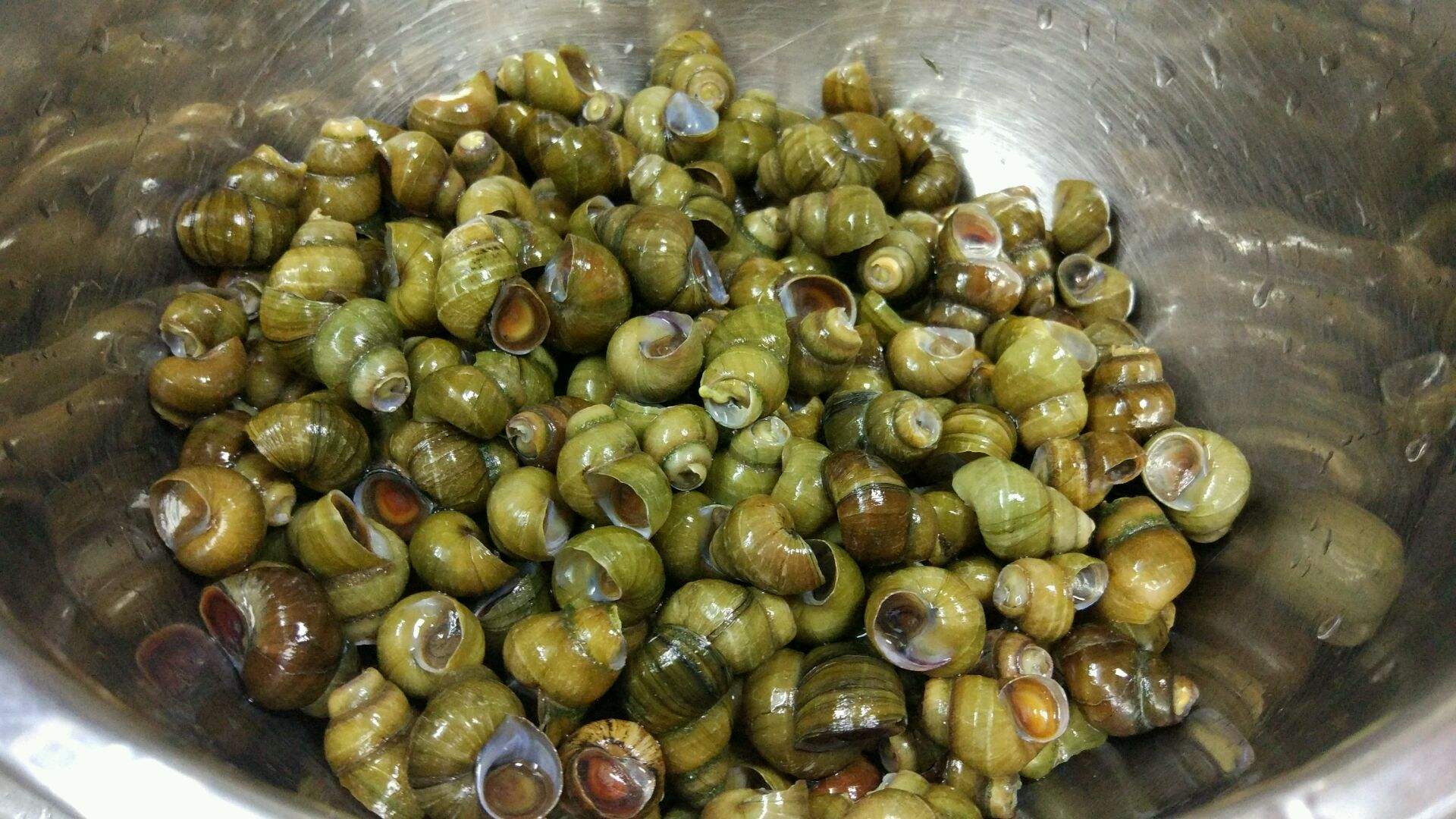 如何洗田螺里的小田螺,清洗田螺不能只放盐