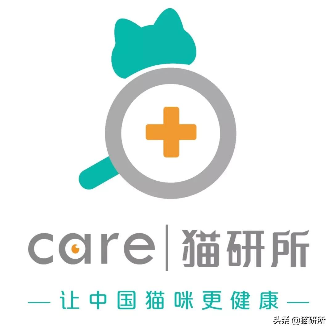 撸猫的好处是什么,撸猫为什么会使人开心