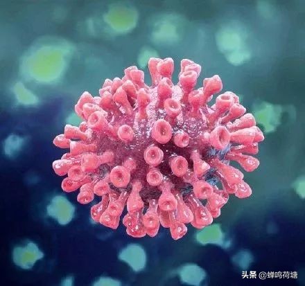 来自全国各地的优秀小主播隔空合诵《我是湖北人》