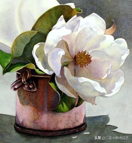 100种花卉绘画,100多张花卉线描手稿素材赶快收藏