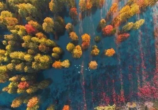 南京免费公园免费开放日一览表,南京免费公园景点推荐