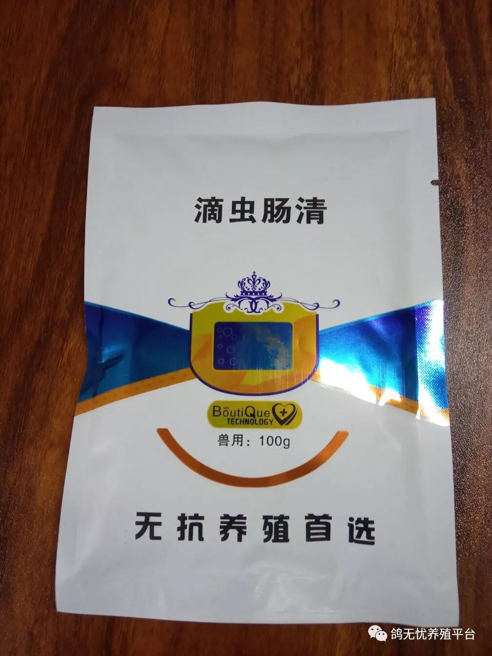 乳鸽死亡原因有哪些,乳鸽怎么救活