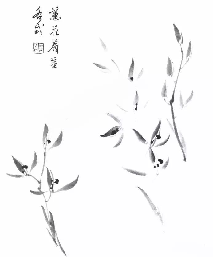 工笔兰花画法步骤详解,兰花的十种画法讲解
