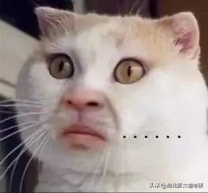 本科就业率最低的十大专业,就业率最差的十个专业专科