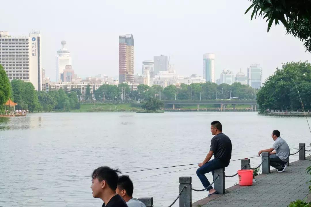 笋岗，不说再见！