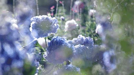 十二星座星盘小白入门课,十二星座星盘分析最准确