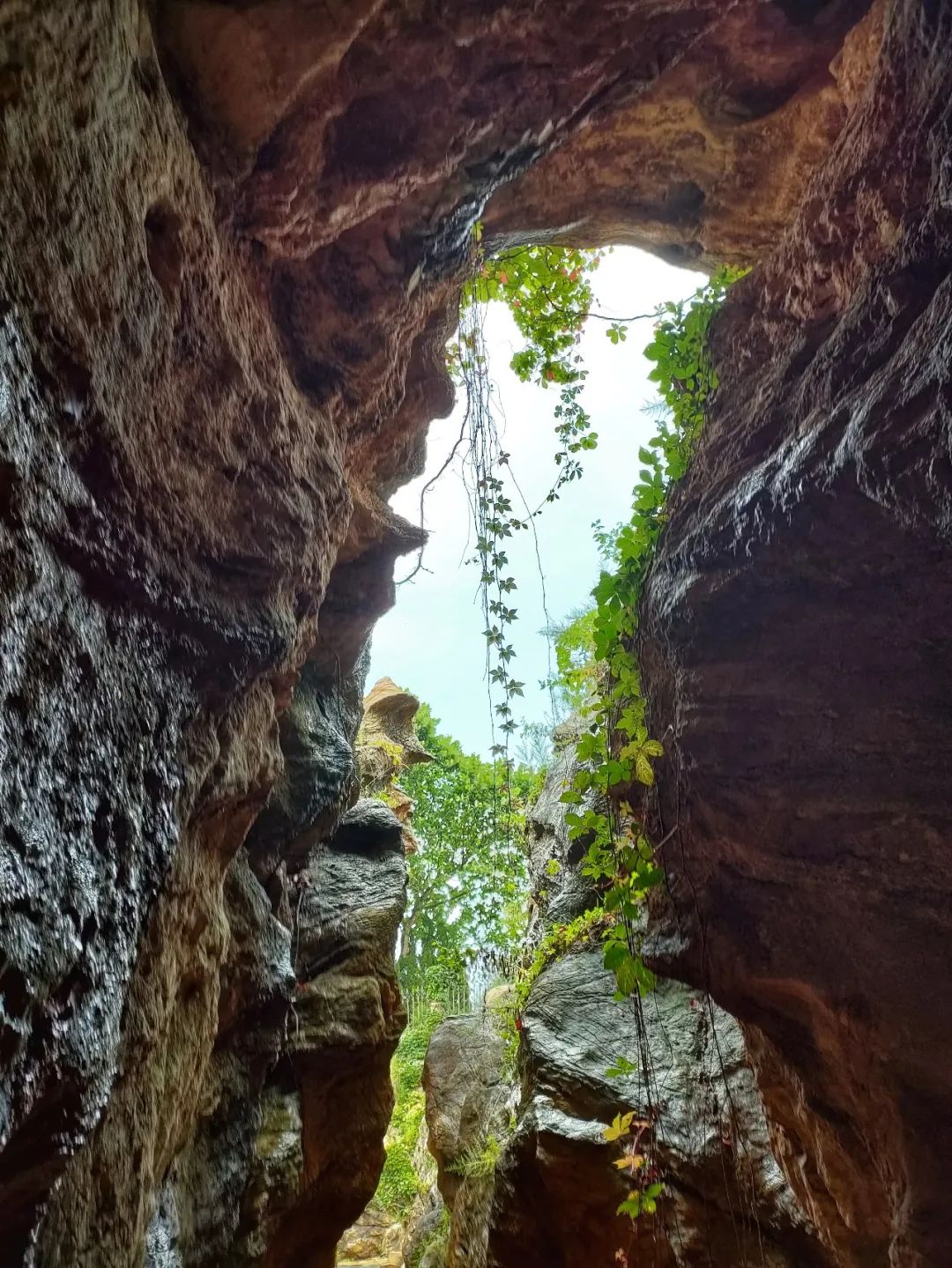 大连金石园奇石名称,大连市金石园