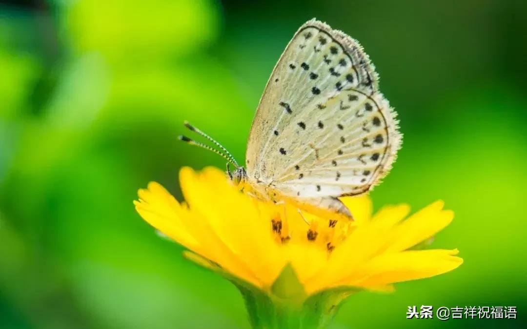 早上好，想你、念你！暖暖的好歌送给你！