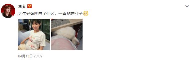 节目主持人李艾个人资料,主持人李艾个人资料简介