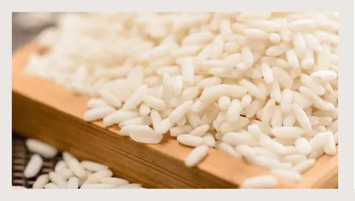 苏沧桑作品,苏沧桑小说