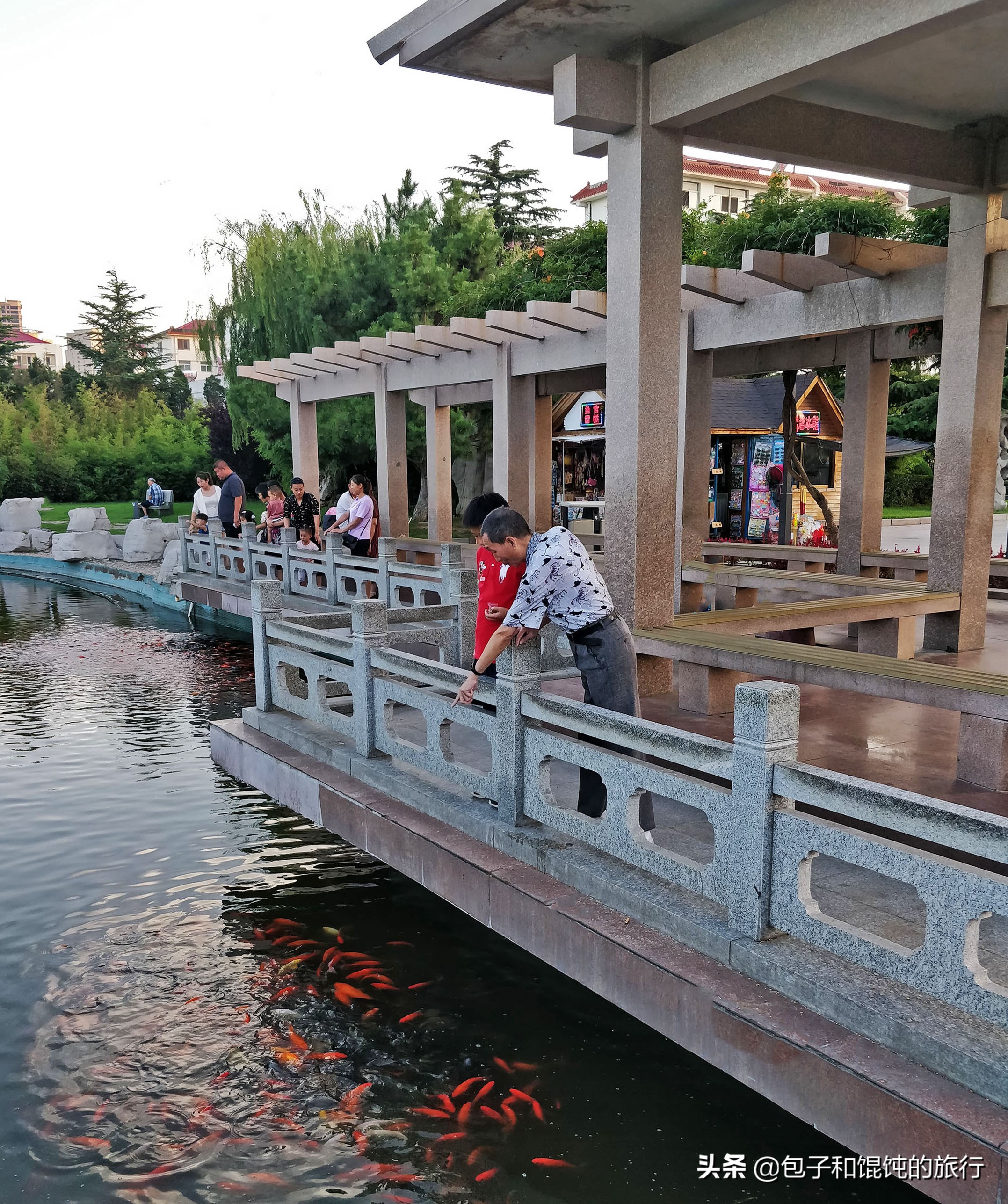 大海边的房子豪华别墅,大海边的老房子