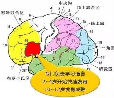 联合国9岁女孩讲话,9岁女孩联合国英语演讲完整版